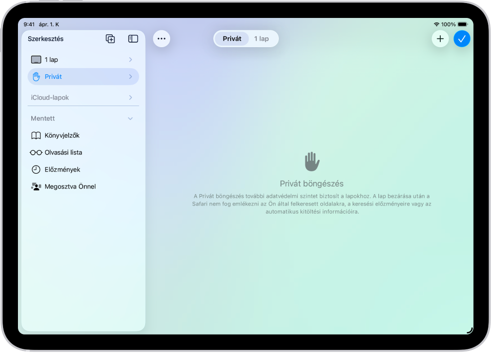 A Safari oldalsávja a Safari ablak bal oldalán a kijelölt Privát elemmel. A jobb oldalon egy magyarázat látható arra vonatkozóan, hogy a Safari nem fogja megjegyezni a böngészést.