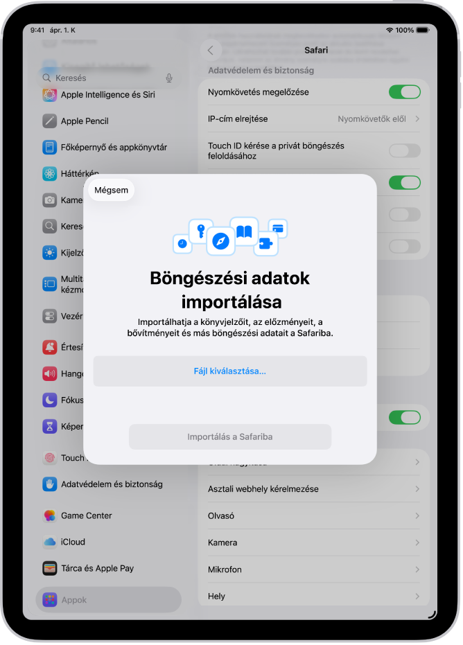 A Böngészési adatok importálása képernyő, amely a Safariba importálandó adatokat jeleníti meg egy másik böngészőből.