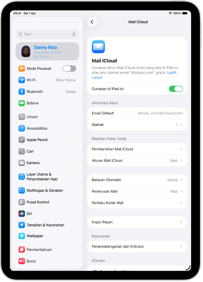 App Pengaturan, dibuka di layar iCloud Mail. Domain Email Khusus berada di bagian bawah menu.