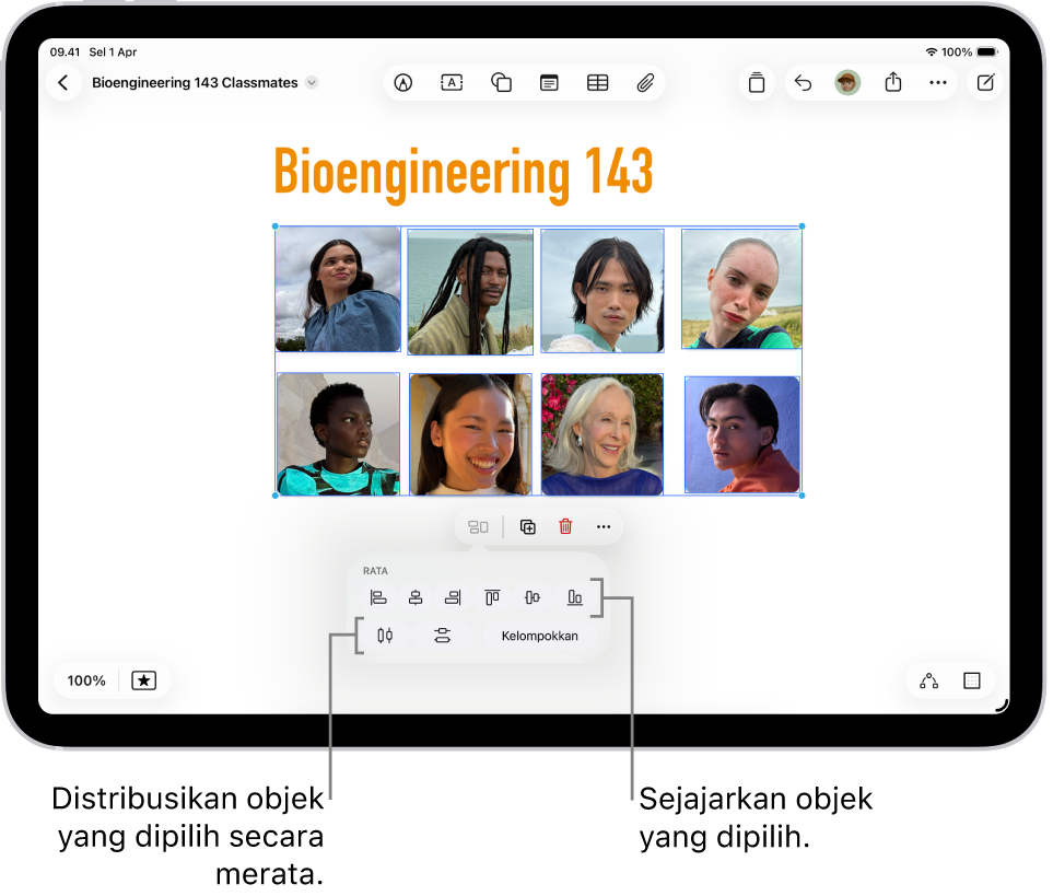 Bidang Freeform diisi dengan grid foto. Beberapa foto dipilih, dan alat penyejajaran dan pengelompokan muncul di bawahnya.