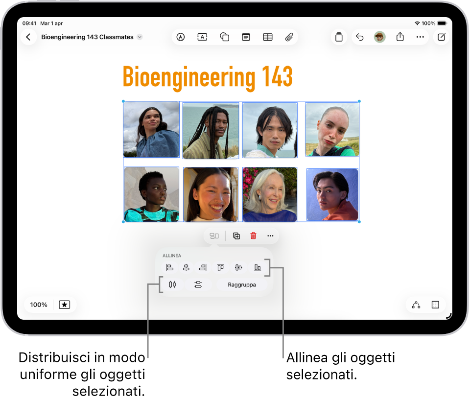 Una griglia di foto riempie una lavagna Freeform. Diverse foto vengono selezionate, sotto di esse sono visibili gli strumenti di allineamento e raggruppamento.