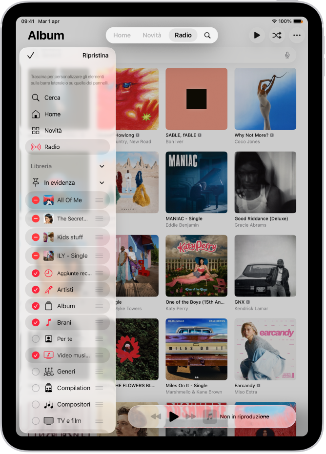 iPad in modalità verticale con le opzioni per modificare la barra laterale a sinistra e la barra dei pannelli nella parte superiore dello schermo.