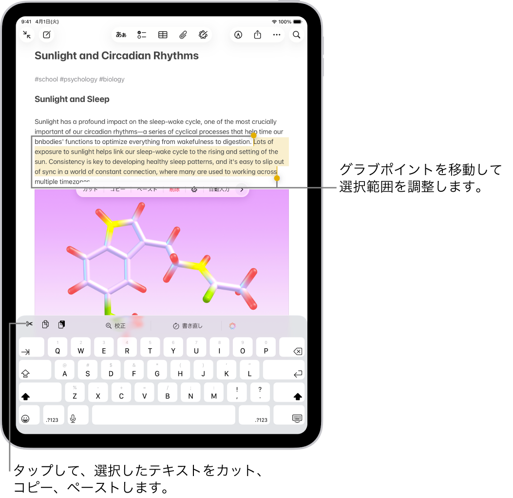 メモアプリのメモでテキストが選択されています。選択中のテキストの上には、カット、コピー、ペーストなどのボタンのメニューが表示されています。選択されたテキストが強調表示され、両端には選択範囲を調整するグラブポイントが付いています。