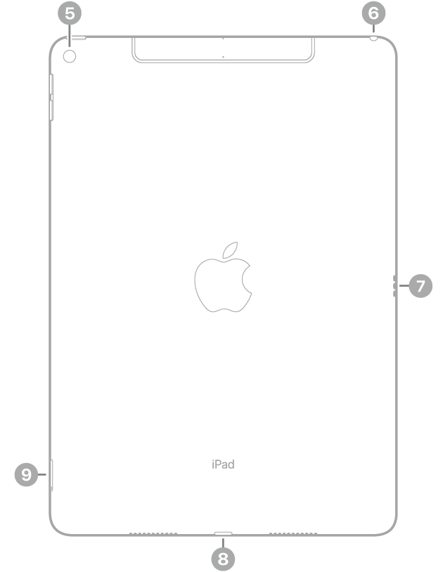 iPad Airನ ಹಿಂಭಾಗದ ನೋಟವನ್ನು ತೋರಿಸಲಾಗುತ್ತಿದೆ. ಅದರಲ್ಲಿ ಮೇಲಿನ ಎಡಭಾಗದಲ್ಲಿರುವ ಹಿಂಬದಿಯ ಕ್ಯಾಮರಾ, ಮೇಲಿನ ಬಲಭಾಗದಲ್ಲಿರುವ ಹೆಡ್‌ಫೋನ್ ಜ್ಯಾಕ್, ಬಲಭಾಗದಲ್ಲಿರುವ ಸ್ಮಾರ್ಟ್ ಕನೆಕ್ಟರ್, ಕೆಳಭಾಗದ ಮಧ್ಯದಲ್ಲಿರುವ Lightning ಕನೆಕ್ಟರ್ ಮತ್ತು ಕೆಳಗಿನ ಎಡಭಾಗದಲ್ಲಿರುವ ಸಿಮ್ ಟ್ರೇ (Wi-Fi + Cellular) ಕಡೆಗೆ ತೋರಿಸಲಾಗುತ್ತಿದೆ.