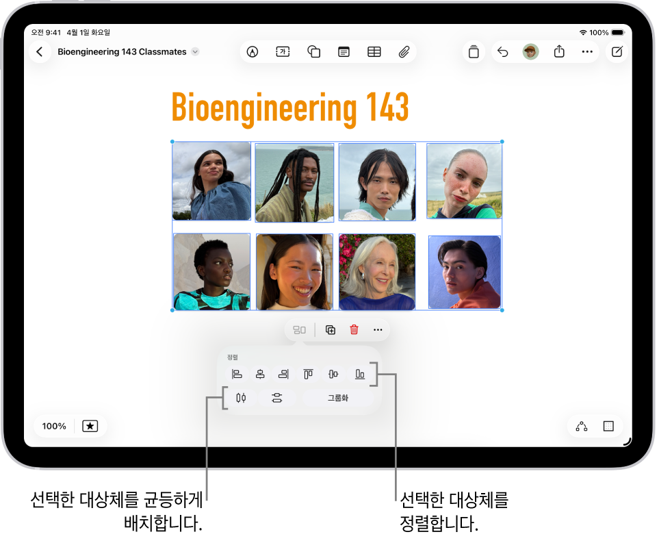 사진 격자로 채워진 Freeform 보드. 선택된 여러 장의 사진 아래에 정렬 및 그룹화 도구가 표시됨.