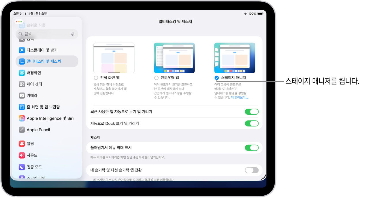 여러 앱에서 작업하기 위해 선택할 수 있는 멀티태스킹 및 제스처 옵션이 표시된 iPad 설정 앱.