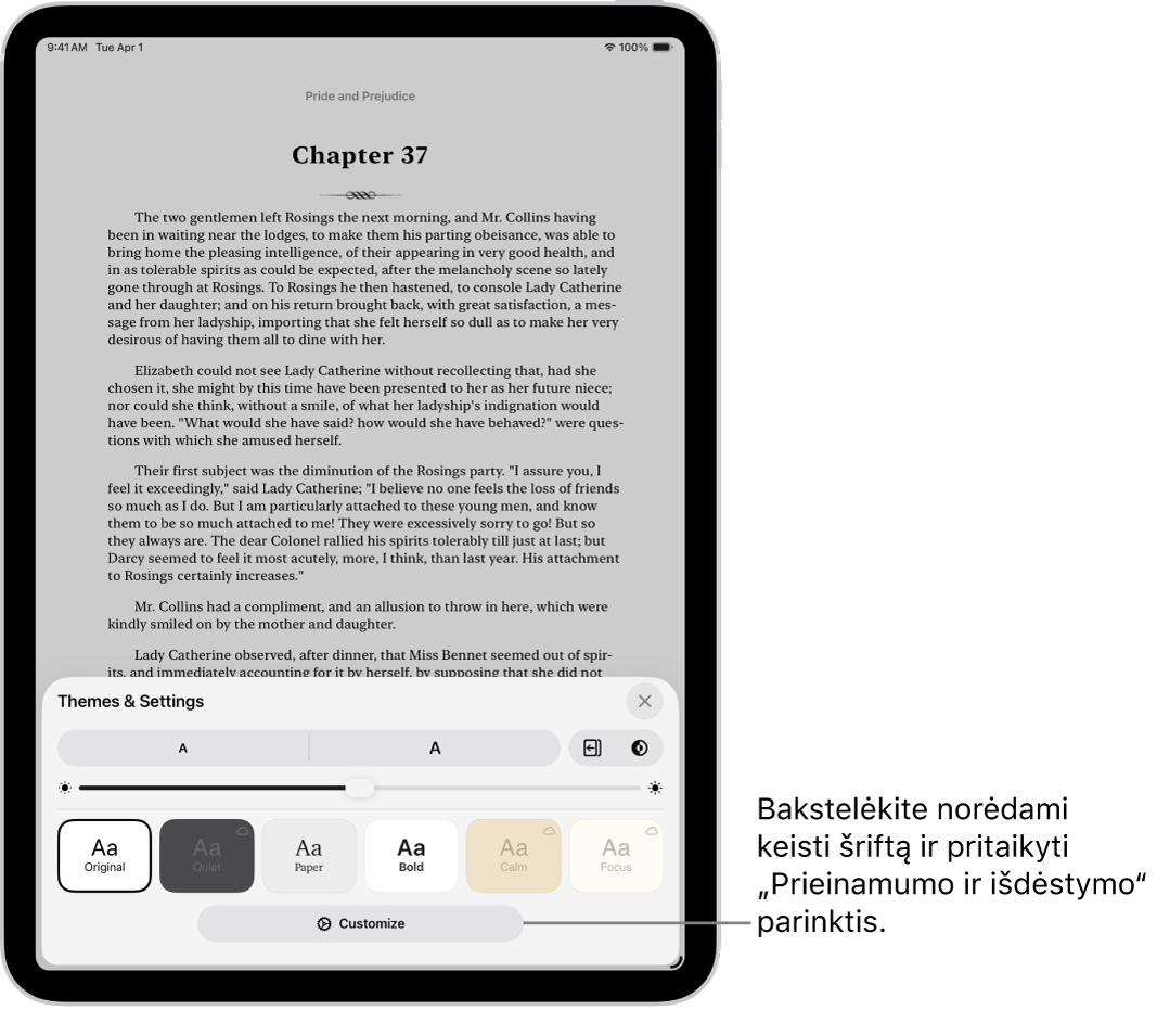 Programos „Knygos“ puslapis. Meniu „Temos ir nustatymai“ rodomi valdikliai, skirti keisti šrifto dydį, slinkimo rodinį, puslapių vertimo būdą, ryškumą ir šrifto stiliai.