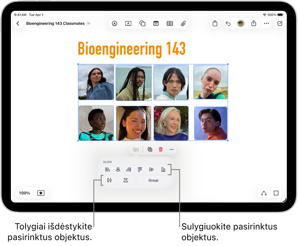 „Freeform“ lenta užpildyta tinklelio nuotraukomis. Pasirenkamos kelios nuotraukos, o po jomis rodomi lygiavimo ir grupavimo įrankiai.