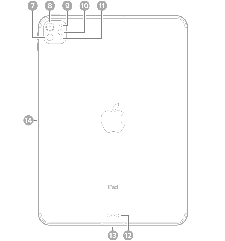 „iPad Pro“ vaizdas iš galo su nuorodomis į „LiDAR“, galinį fotoaparatą, galinį aplinkos šviesos jutiklį, blykstę ir mikrofoną viršuje kairėje, „Smart Connector“ bei USB-C jungtį apačioje centre ir magnetinę „Apple Pencil“ jungtį kairėje.