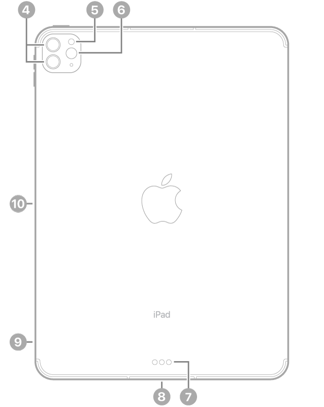„iPad Pro“ vaizdas iš galo su nuorodomis į galines kameras ir blykstę viršuje kairėje, „Smart Connector“ bei „Thunderbolt“ / USB 4 jungtį apačioje centre, SIM kortelės dėklą („Wi-Fi + Cellular“ modeliai) apačioje kairėje ir magnetinę „Apple Pencil“ jungtį kairėje.