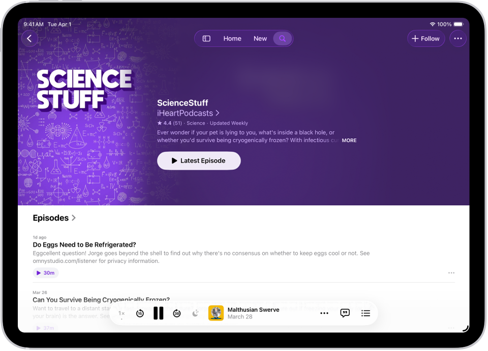 Halaman rancangan dalam app Podcast menunjukkan dua episod dengan ringkasan untuk setiap episod dan Pemain Mini di bahagian bawah.