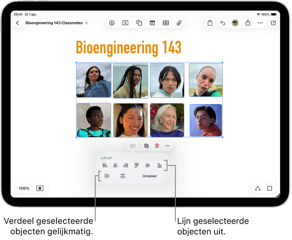 Een Freeform-bord met foto's in een raster. Er zijn meerdere foto's geselecteerd, met daaronder de opties voor uitlijnen en groeperen.