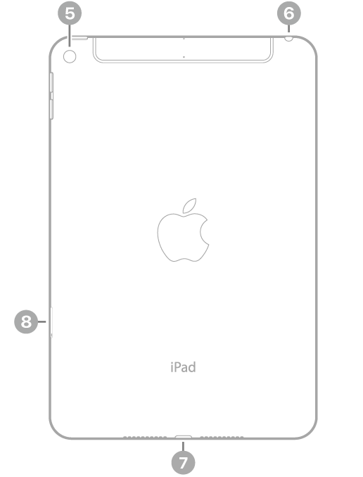 iPad mini ਦੇ ਪਿਛਲੇ ਦ੍ਰਿਸ਼ ਵਿੱਚ ਉੱਪਰ ਖੱਬੇ ਪਾਸੇ ਪਿਛਲਾ ਕੈਮਰਾ, ਉੱਪਰ ਸੱਜੇ ਪਾਸੇ ਹੈੱਡਫ਼ੋਨ ਜੈੱਕ, ਹੇਠਾਂ ਕੇਂਦਰ ਵਿੱਚ Lightning ਕਨੈਕਟਰ ਅਤੇ ਹੇਠਾਂ ਖੱਬੇ ਪਾਸੇ SIM ਟ੍ਰੇਅ (Wi-Fi + Cellular) ਹੈ।