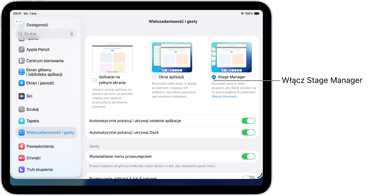 Aplikacja Ustawienia na iPadzie, wyświetlająca opcje w panelu Wielozadaniowość i gesty, pozwalające konfigurować pracę z wieloma aplikacjami.