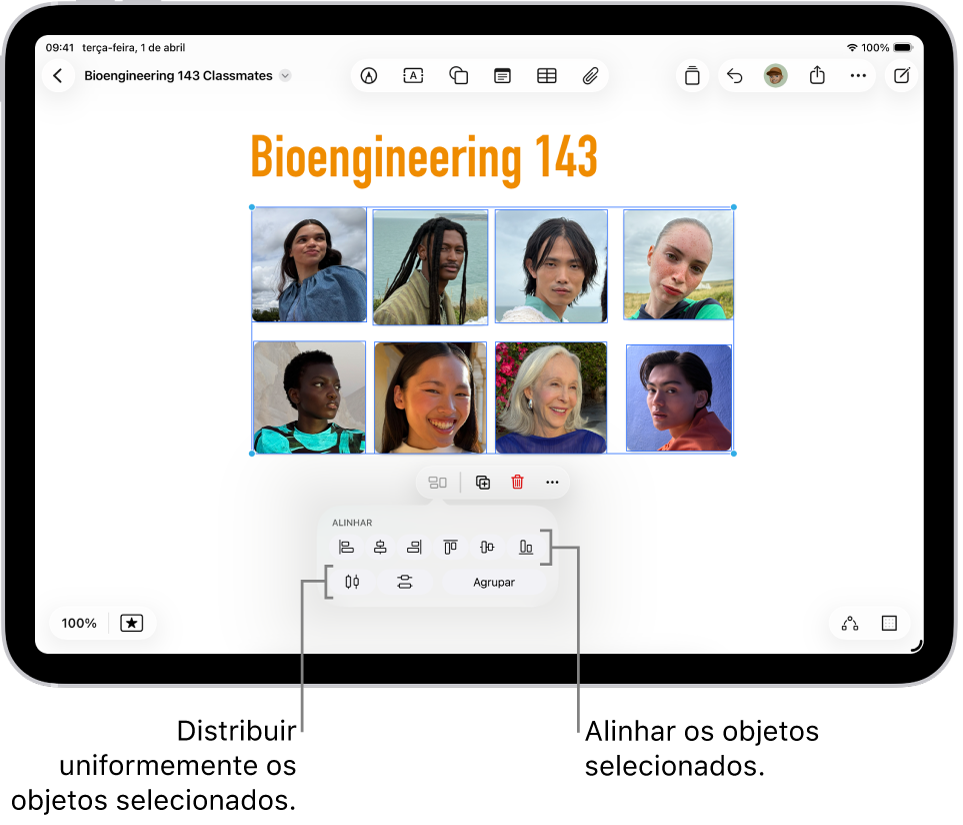 Um quadro do Freeform com uma grelha de fotografias. Estão selecionadas várias fotografias e as ferramentas de alinhamento e agrupamento estão visíveis por baixo.