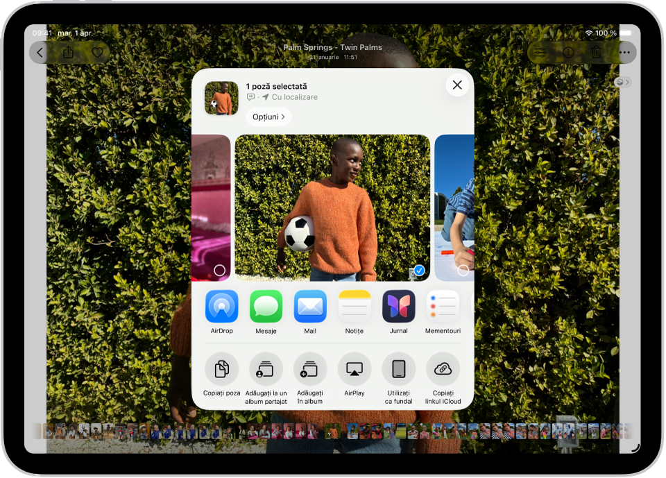 O poză este deschisă în aplicația Poze, iar opțiunile de partajare sunt afișate în mijlocul ecranului.