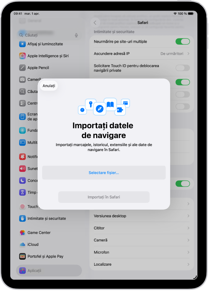 Ecranul Importați datele de navigare, afișând date din alt browser care urmează să fie importate în Safari.