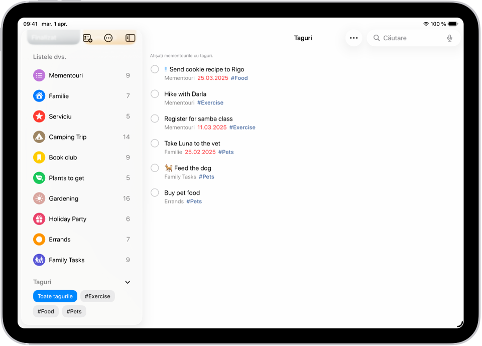 Un ecran din aplicația Mementouri afișând browserul de taguri în stânga jos, cu opțiunea Toate tagurile selectată. În dreapta este o listă cu toate articolele cu taguri.