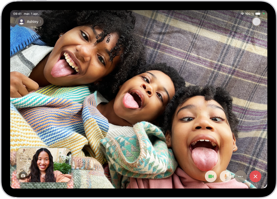 Un apel video FaceTime în curs, afișând un participant în partea din stânga jos. O imagine cu alți trei participanți umple restul ecranului. În dreapta jos se află butoanele Cameră, Microfon, Mai multe și Încheiere apel.