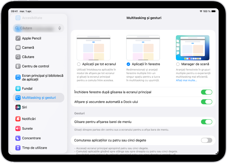 Fereastra unui iPad afișând configurările Multitasking și gesturi.