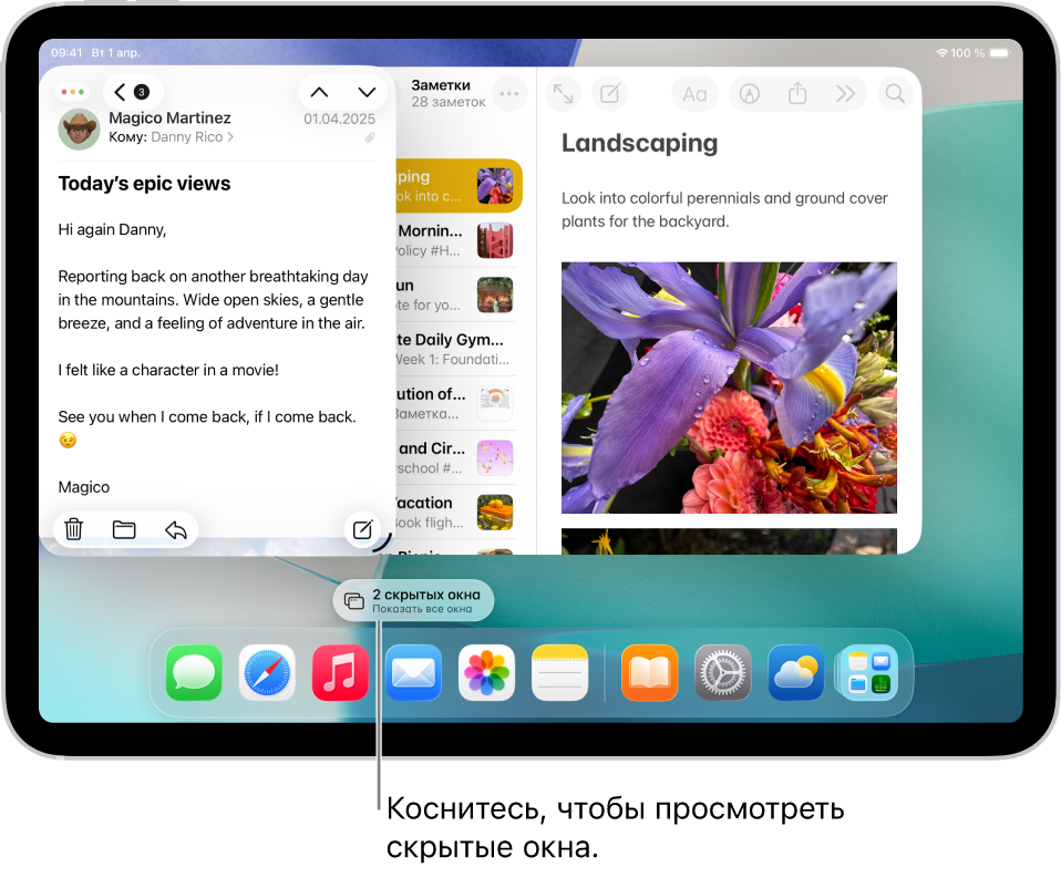 На экране iPad открыто два приложения. Показана овальная кнопка «Показать все окна». При касании этой кнопки можно просмотреть все открытые окна выбранного приложения.