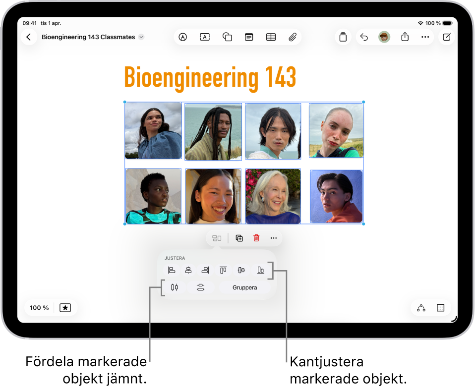 En Freeform-tavla fylld med ett bildrutnät. Flera bilder är markerade och verktygen för justering och gruppering visas nedanför dem.