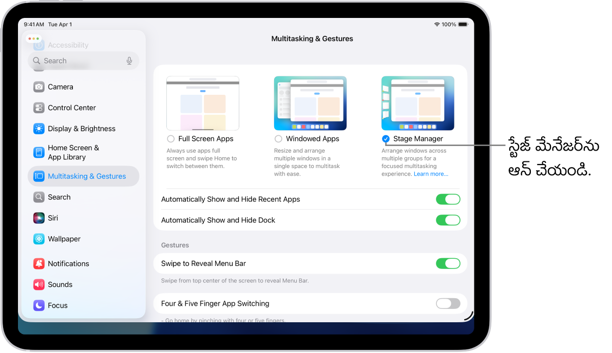 iPad సెట్టింగ్స్ యాప్, వివిధ యాప్లలో పని చేయడానికి మీరు ఎంచుకోగల మల్టీ టాస్కింగ్ & జెశ్చర్స్ ఎంపికలను చూపుతోంది.