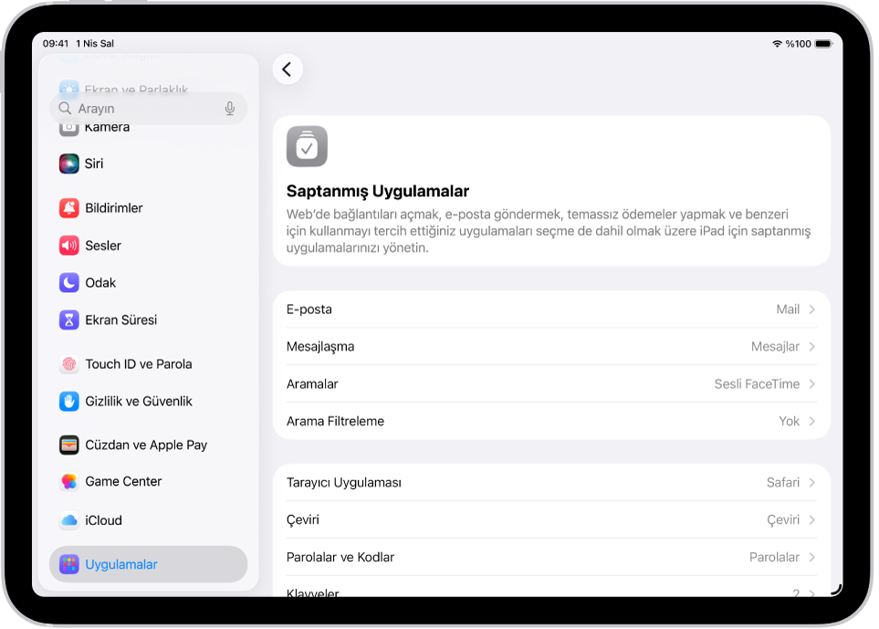 E-posta gönderme, web’de dolaşma ve daha fazlasına yönelik saptanmış uygulamalarınızı değiştirme ekranı.
