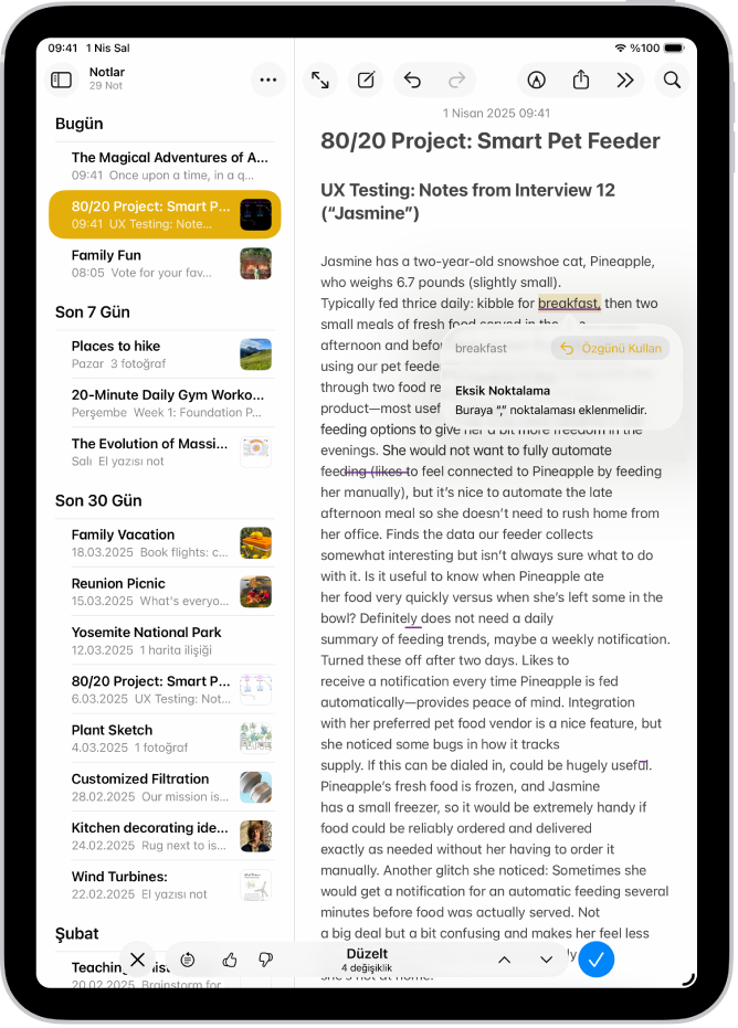 Bir iPad, Notlar uygulamasında gramer hataları için düzenlenen metni gösteriyor.