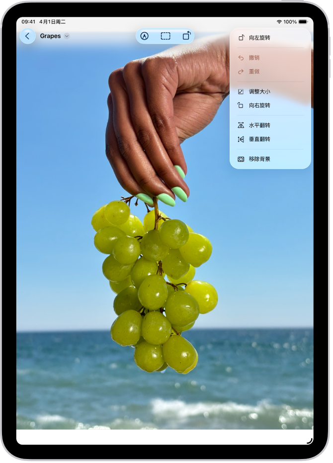 显示照片的“预览” App。前景中显示一只手拿着一串葡萄。背景中显示天空和海洋。