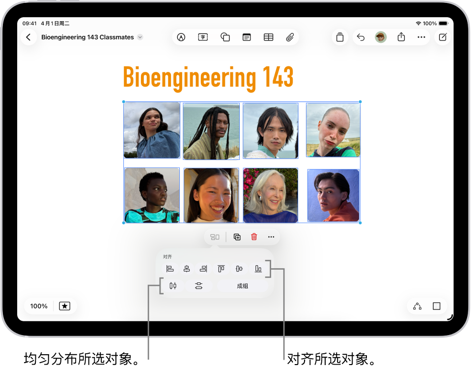 “无边记”看板填充有照片网格。多张照片已选中，其下方显示对齐和分组工具。
