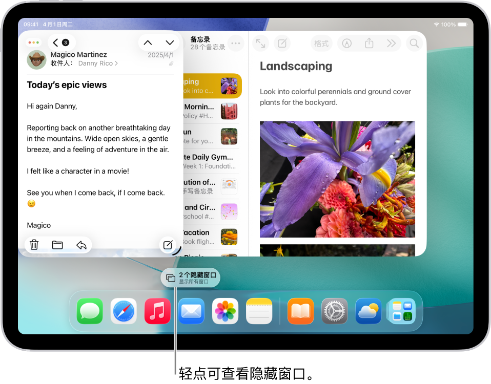 iPad 屏幕显示两个打开的 App 和药丸形状的“显示所有窗口”按钮，轻点该按钮会显示目标 App 中所有打开的窗口。