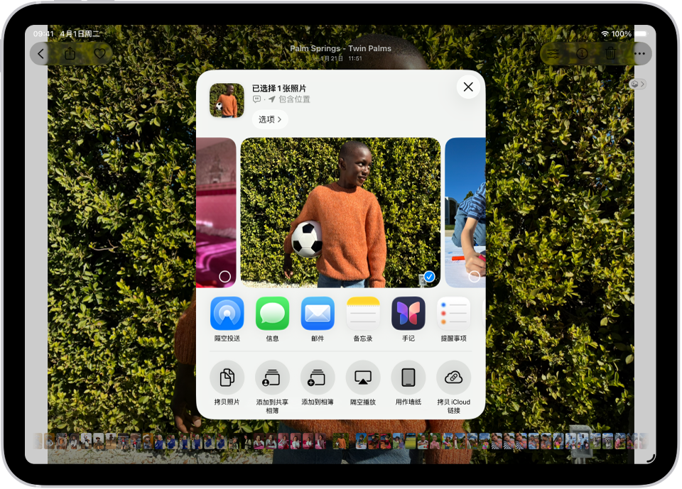 “照片” App 中打开了一张照片,共享选项显示在屏幕中间。