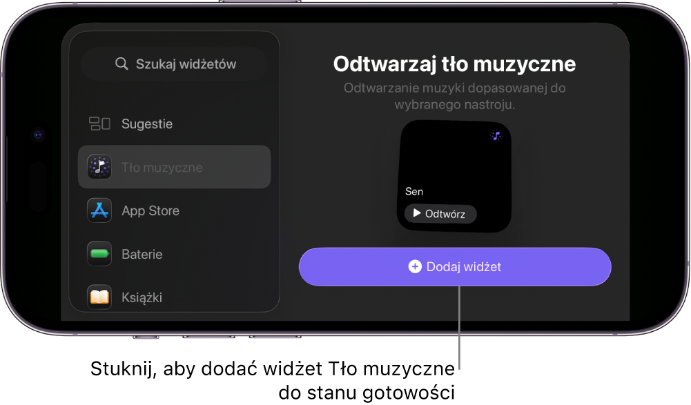 Ekran trybu czuwania iPhone’a w trybie edycji pokazujący widżet Tło muzyczne i przycisk Dodaj widżet