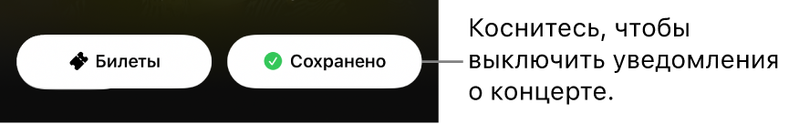 Активная кнопка «Сохранить» (с галочкой) в разделе «Путеводитель по концертам» в приложении Shazam