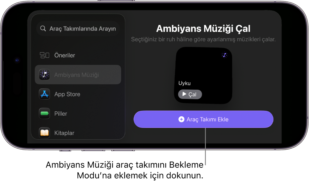 Ambiyans Müziği araç takımını ve Araç Takımı Ekle düğmesini gösteren düzenleme modundaki iPhone Bekleme Modu ekranı