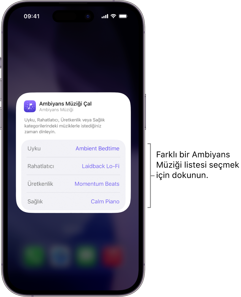 Orta boyuttaki Ambiyans Müziği araç takımında Ruh Hâli ve Liste seçeneklerini gösteren iPhone ekranı