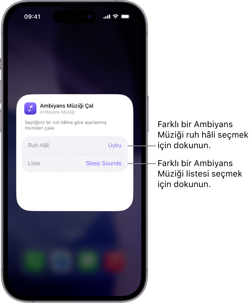 Küçük Ambiyans Müziği araç takımında Ruh Hâli ve Liste seçeneklerini gösteren iPhone ekranı