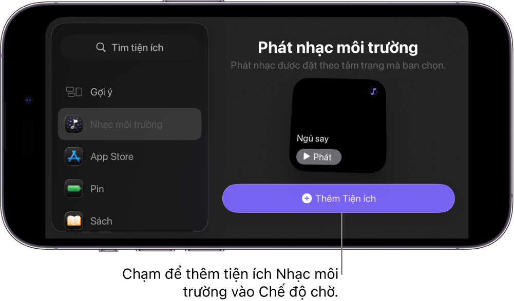 Màn hình Chế độ chờ của iPhone ở chế độ sửa, đang hiển thị tiện ích Nhạc môi trường và nút Thêm tiện ích
