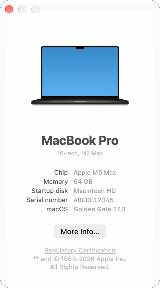 The About This Mac window, showing an image of the Mac above its model name and size, followed by the chip, memory, startup disk, serial number, and macOS version, and a More Info button.