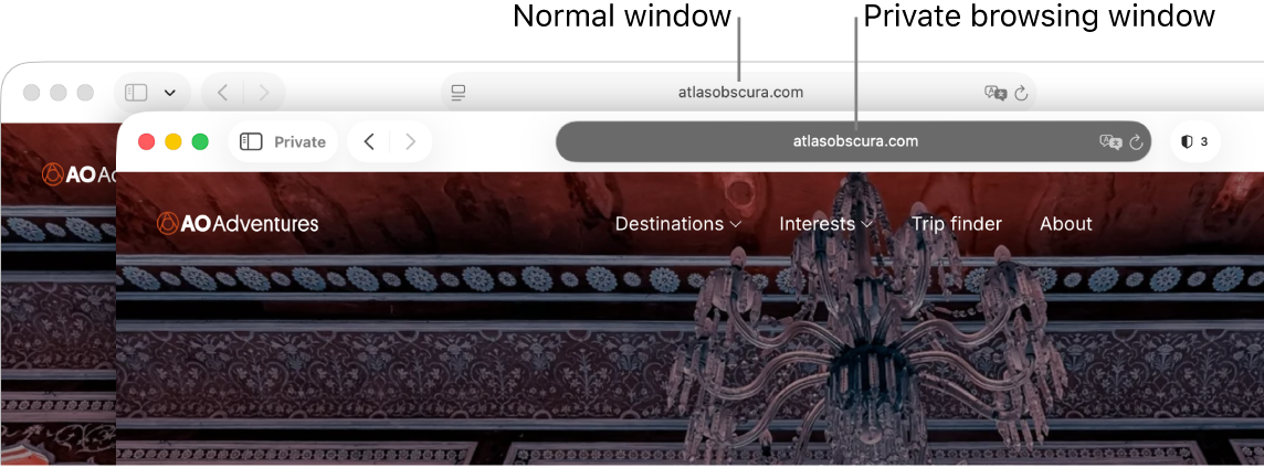 A normal Safari window on a Mac with its light Smart Search field, and a private Safari window with its dark Smart Search field.