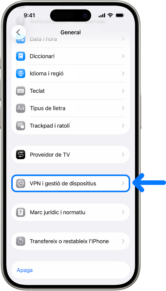 Una pantalla de l’iPhone amb l’opció “VPN i gestió de dispositius” seleccionada.