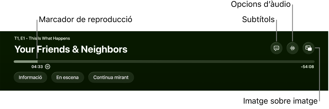 Controls de reproducció