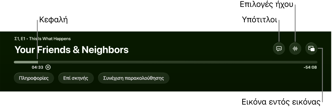 Στοιχεία ελέγχου αναπαραγωγής