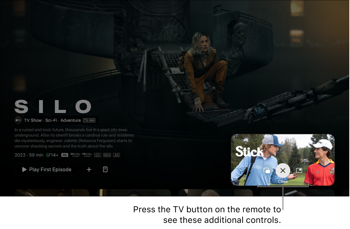 Additional Picture in Picture controls