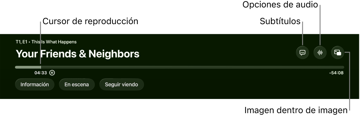 Controles de reproducción