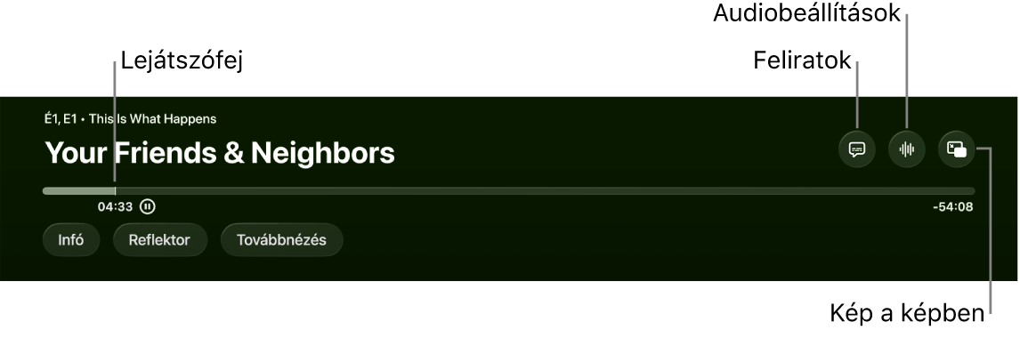 Lejátszási vezérlők