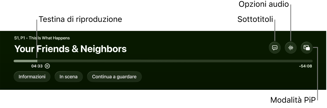 Controlli di riproduzione