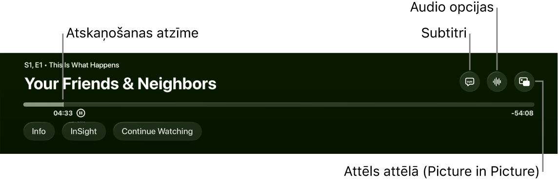 Atskaņošanas vadīklas