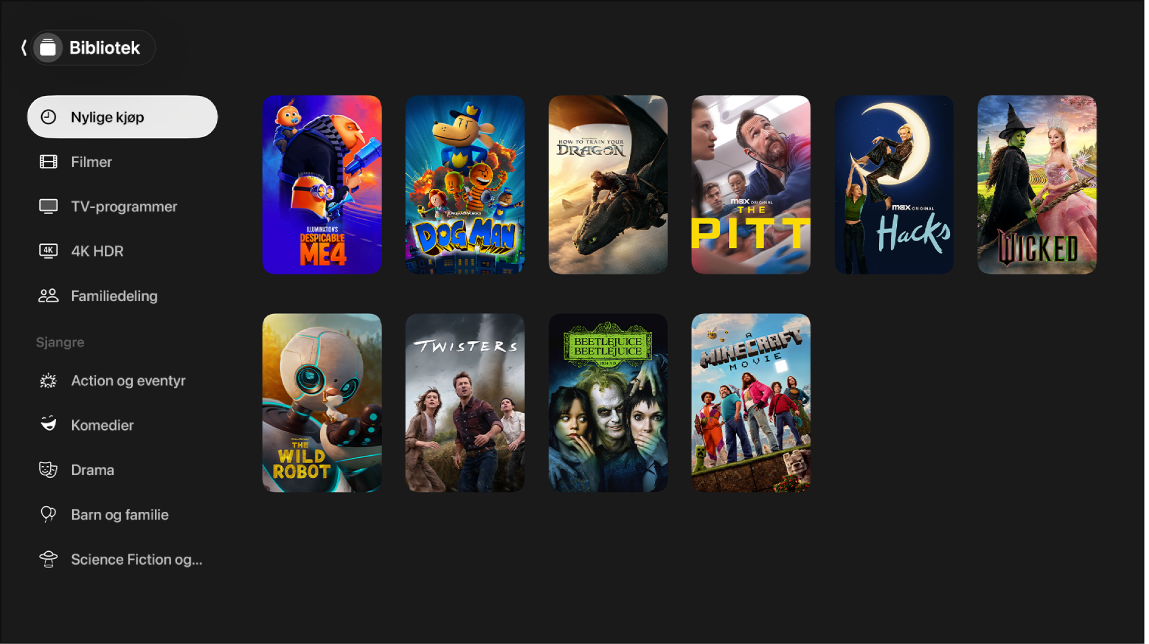 Skjerm som viser Bibliotek